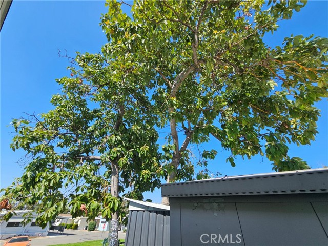 24414 University Avenue, Loma Linda CA: https://media.crmls.org/medias/f8a64594-788c-4b9b-9067-0a05d1fb421c.jpg
