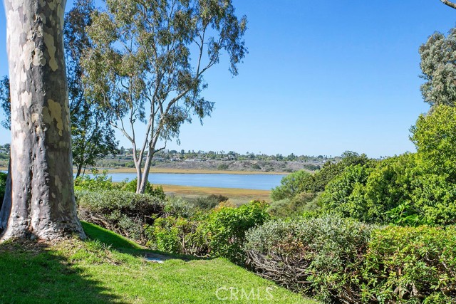 Detail Gallery Image 38 of 50 For 338 Vista Madera, Newport Beach,  CA 92660 - 2 Beds | 3 Baths