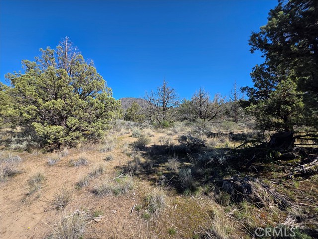 Detail Gallery Image 10 of 20 For 39 Blk 8 Lot 39 Katrina Dr Dr, Montague,  CA 96064 - – Beds | – Baths