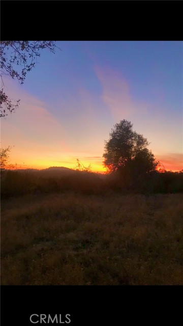 10 Old Oak Lane, Mariposa CA: https://media.crmls.org/medias/f8ac33d4-e986-4cb8-ab36-edbab8b8e369.jpg