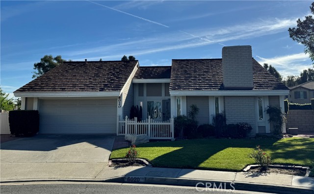 Front Image Thumbnail for CROC26061181