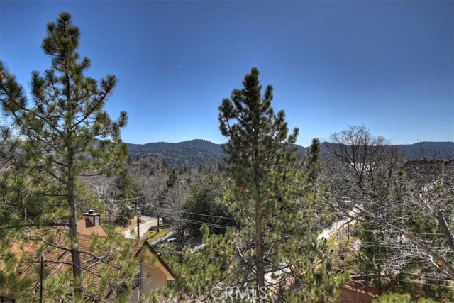 Detail Gallery Image 49 of 73 For 1211 Yosemite, Lake Arrowhead,  CA 92352 - 4 Beds | 3/1 Baths