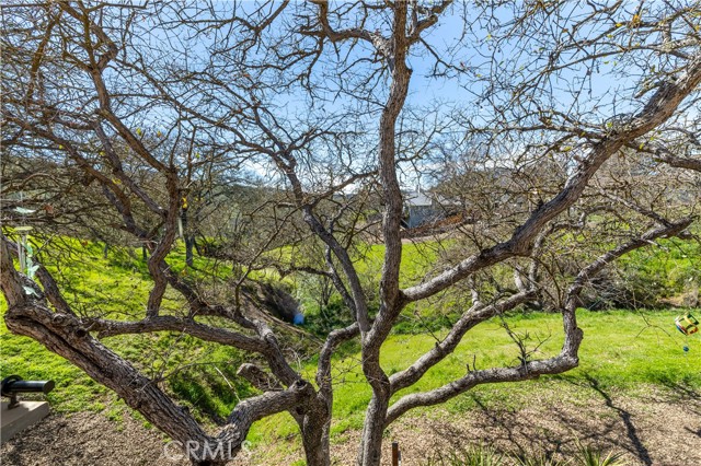 Detail Gallery Image 28 of 43 For 4987 Pretty Doe, Paso Robles,  CA 93446 - 3 Beds | 2 Baths