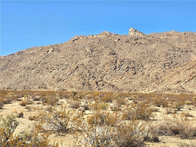 Detail Gallery Image 6 of 12 For 8138 Utah Trl, Twentynine Palms,  CA 92277 - 2 Beds | 2 Baths