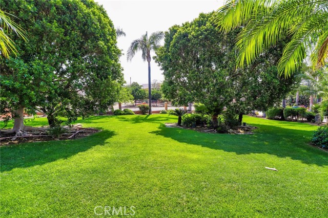 6116 Chadbourne Avenue, Riverside CA: https://media.crmls.org/medias/f8b8bfba-0c0f-4ed5-b807-4e7804dd2701.jpg