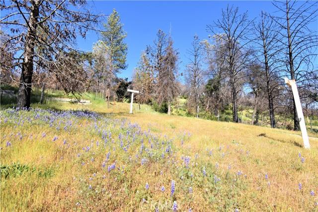 197 Edgehill Drive, Oroville, California 95966, ,Land,For Sale,197 Edgehill Drive,CROR22073384