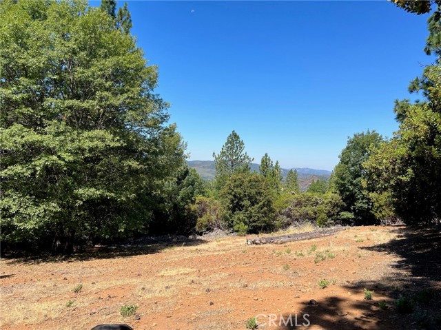 9003 Fox, Cobb, CA, 95426 9003 Fox, Cobb, CA, 95426