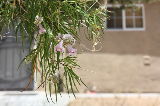 Detail Gallery Image 35 of 48 For 2029 Wamego, Landers,  CA 92285 - 1 Beds | 1 Baths