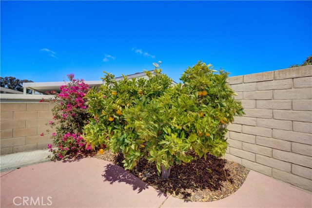 1629 Hillsboro Drive, Santa Maria CA: https://media.crmls.org/medias/f8c4f9b9-90db-410f-8927-8f876ad7eda1.jpg