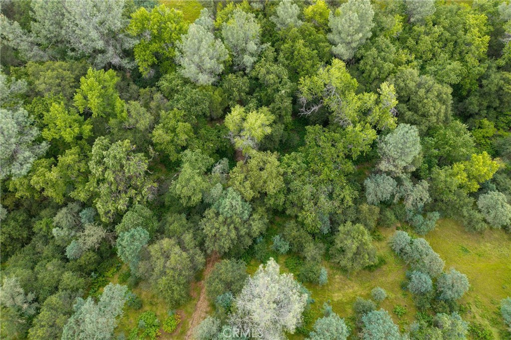 https://media.crmls.org/medias/f8c52111-64be-40a1-8d39-052e5620eb7e.jpg?preset=X-Large