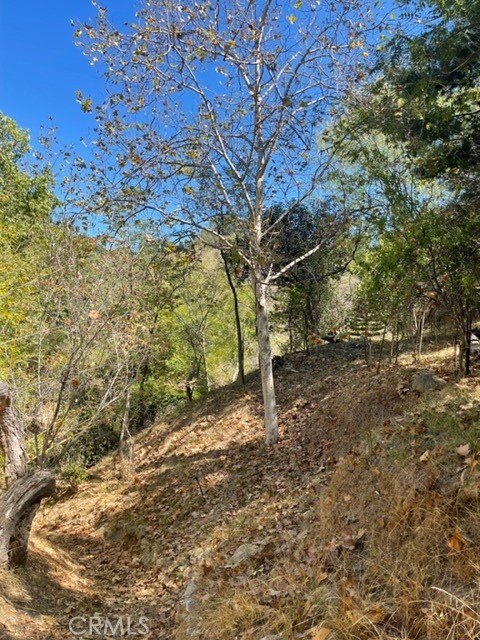 0 Subdivision 1033, Lot 19, Los Angeles CA: https://media.crmls.org/medias/f8c61d10-d166-4bec-9fb7-b1e6e17f753f.jpg