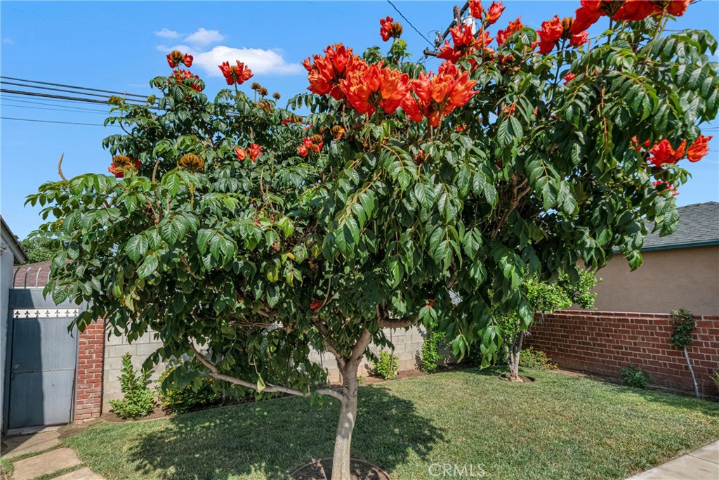 https://media.crmls.org/medias/f8cdef9d-3cfb-45b3-abfe-140866d616c8.jpg?preset=X-Large