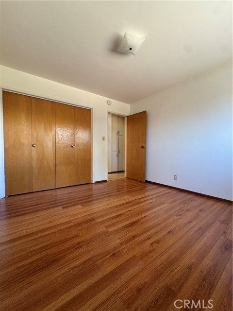 8838 Ilex photo 6