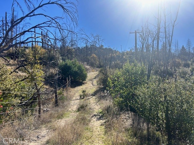 Detail Gallery Image 35 of 39 For 0 Craig Access, Feather Falls,  CA 95940 - – Beds | – Baths