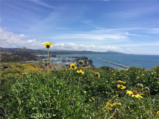 Detail Gallery Image 11 of 38 For 34144 Selva Rd #205,  Dana Point,  CA 92629 - 1 Beds | 1 Baths