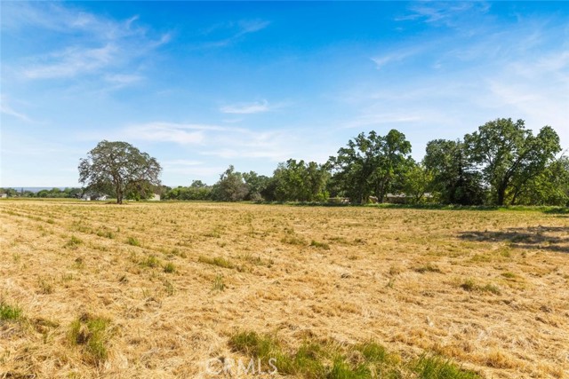 Image 11 of 18 For 0 Wilson Street