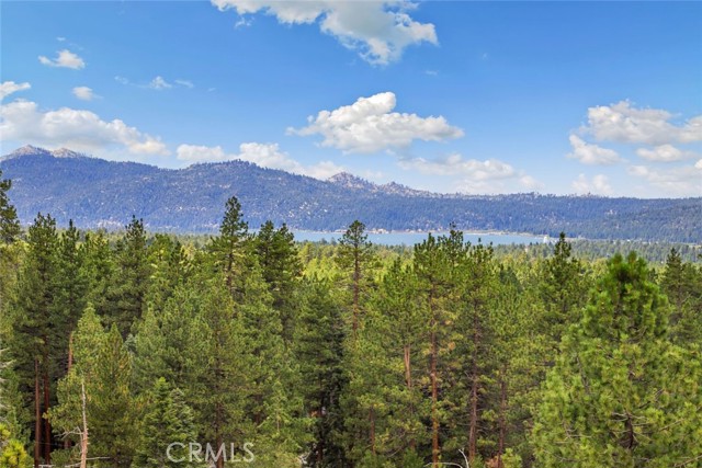 Detail Gallery Image 2 of 47 For 43427 Ridgecrest Dr, Big Bear Lake,  CA 92315 - 3 Beds | 3/1 Baths