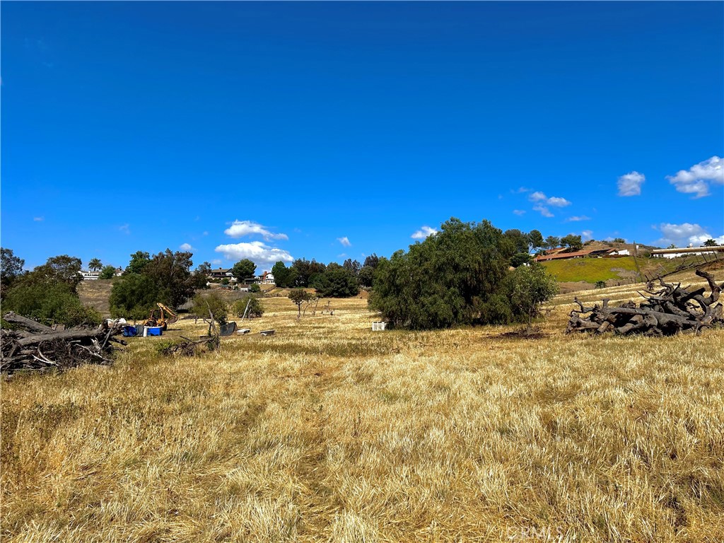 https://media.crmls.org/medias/f8db58a7-d490-4084-87e4-1bb2abef0014.jpg?preset=X-Large