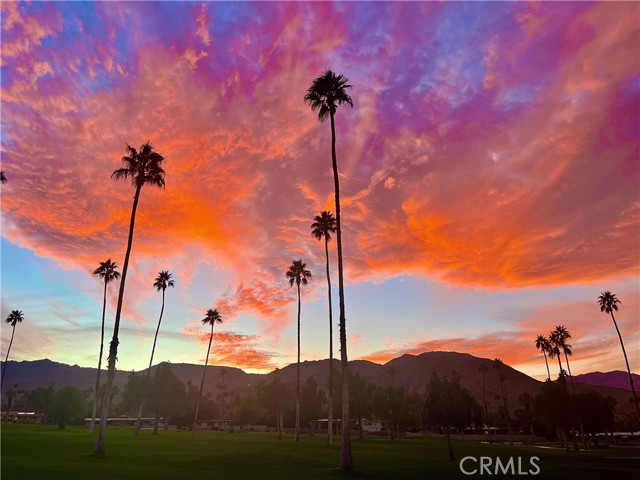 46125 Burroweed Ln., Palm Desert CA: https://media.crmls.org/medias/f8e0a893-d339-4a42-9b89-e00d4bb7b7ff.jpg