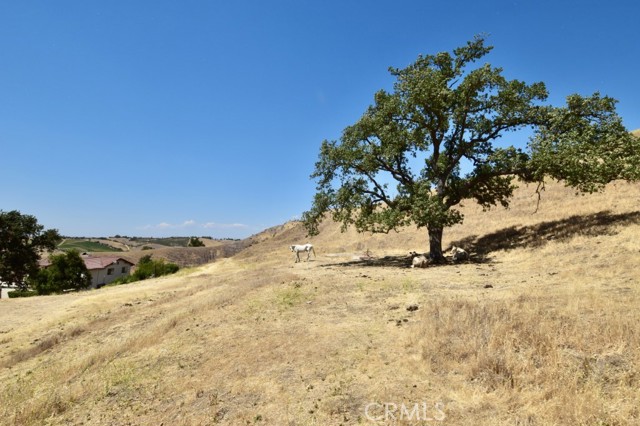 1924 Surrey Way, Paso Robles CA: https://media.crmls.org/medias/f8e661bc-6c2b-47e0-a07e-dda14c40115b.jpg