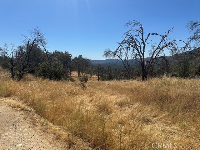 3896 B State Highway 140, Mariposa CA: https://media.crmls.org/medias/f8e7d757-5cf0-48fc-9585-79d5965c5ad1.jpg