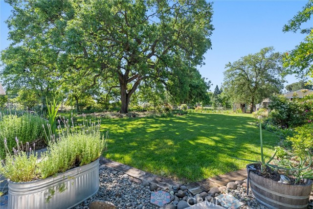 Detail Gallery Image 53 of 75 For 5 Roseanna Ct, Chico,  CA 95973 - 4 Beds | 2/1 Baths