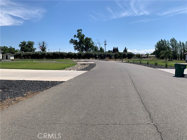 6690 County Road 21, Orland, California 95963, ,Land,For Sale,6690 County Road 21,CRSN23109931