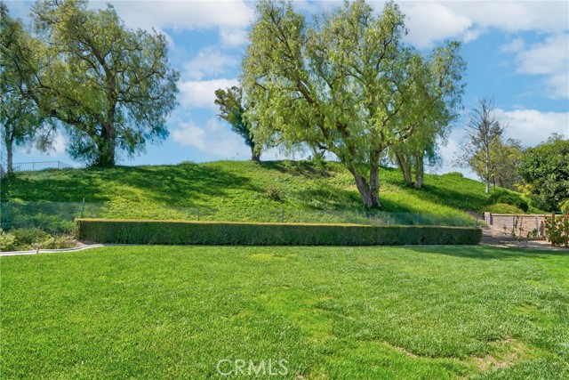 Detail Gallery Image 17 of 69 For 5387 via Ramon Rd, Yorba Linda,  CA 92887 - 3 Beds | 2 Baths