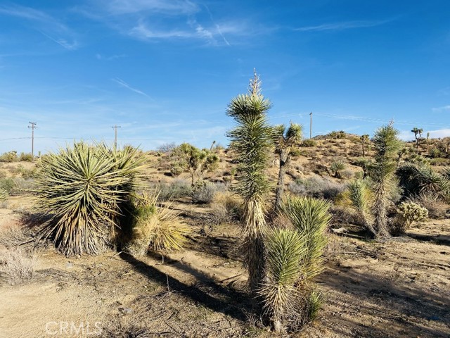 8000 Redden, Yucca Valley, CA, 92284 8000 Redden, Yucca Valley, CA, 92284