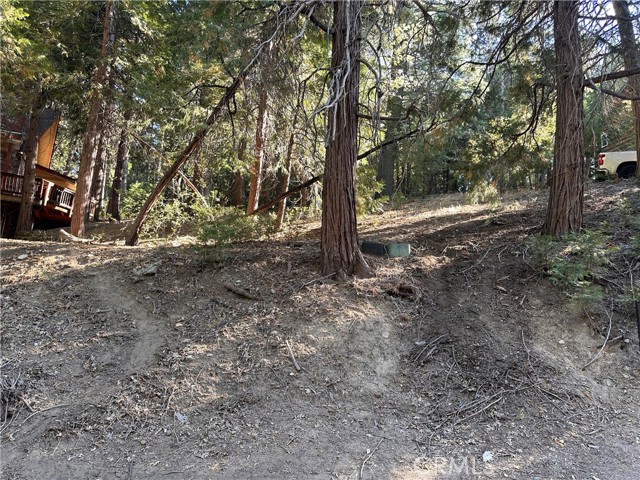 0 Alder Terrace, Cedar Glen, California 92321, ,Land,For Sale,0 Alder Terrace,CREV24034135