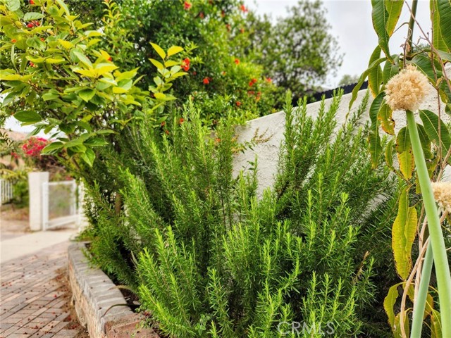 4297 Moonstone Drive, Los Angeles CA: https://media.crmls.org/medias/f8f60c8b-266e-40d6-92c3-00d7f6506739.jpg