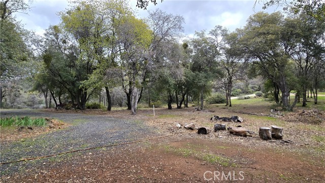 Detail Gallery Image 24 of 26 For 160 Fire Camp Rd, Oroville,  CA 95966 - 3 Beds | 2 Baths