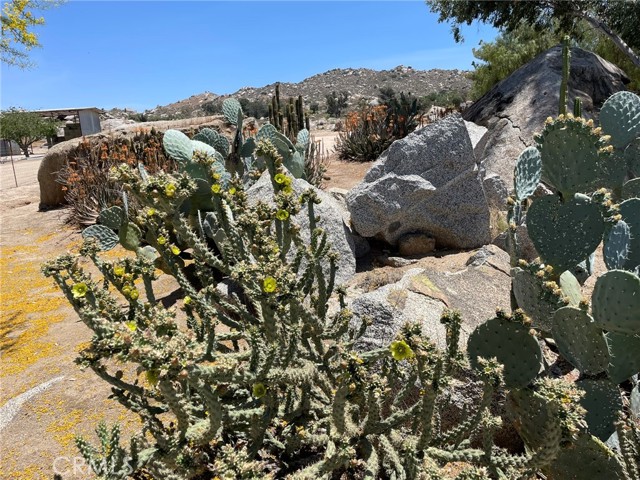 22910 Olivas Avenue, Nuevo CA: https://media.crmls.org/medias/f8fd991b-f144-4973-94ef-51d76c0c6588.jpg