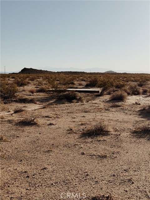 1853 Winfield Road, Joshua Tree CA: https://media.crmls.org/medias/f90088a4-9830-4b74-a2da-c3ce72e5fbd9.jpg