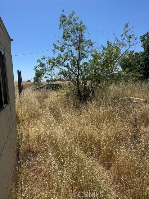 Detail Gallery Image 17 of 19 For 24108 Mclane Ave, Corning,  CA 96021 - – Beds | – Baths