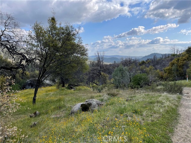 Detail Gallery Image 15 of 24 For 3786 Bronco Hollow Rd, Mariposa,  CA 95338 - – Beds | – Baths