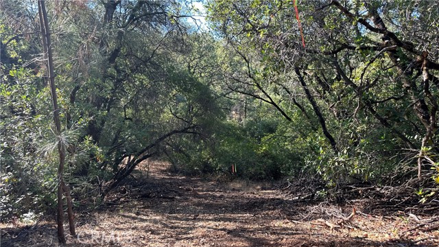 0 Rich Gulch Road, Yankee Hill, California 95965, ,Land,For Sale,0 Rich Gulch Road,CRSN23101845