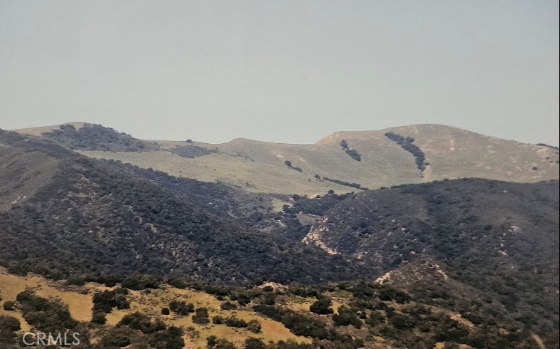 MLS #SW26184595 image #3