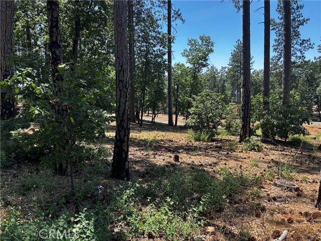 6272 Berkshire, Paradise CA: https://media.crmls.org/medias/f9107e94-e67d-4125-8023-710ce2909108.jpg