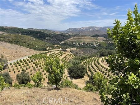 0 AVENNIDA TIERRA 2 LOTS, Temecula CA: https://media.crmls.org/medias/f913a555-7817-4784-948e-4879a13a9c79.jpg