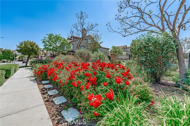 Detail Gallery Image 43 of 52 For 11242 Luke St, Riverside,  CA 92505 - 4 Beds | 3 Baths