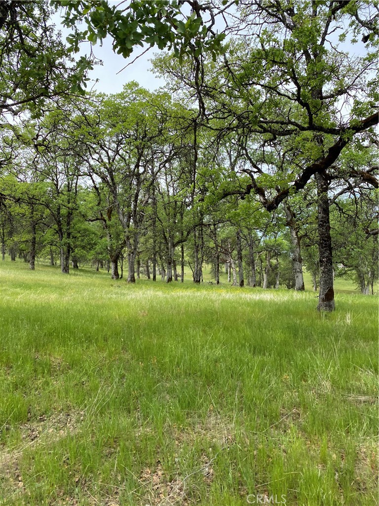 1 Rancheria Creek Road, Midpines, CA 95345