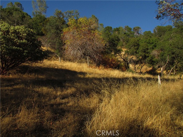 Detail Gallery Image 4 of 54 For 2 Ac Old Oaks Ct, North Fork,  CA 93643 - – Beds | – Baths