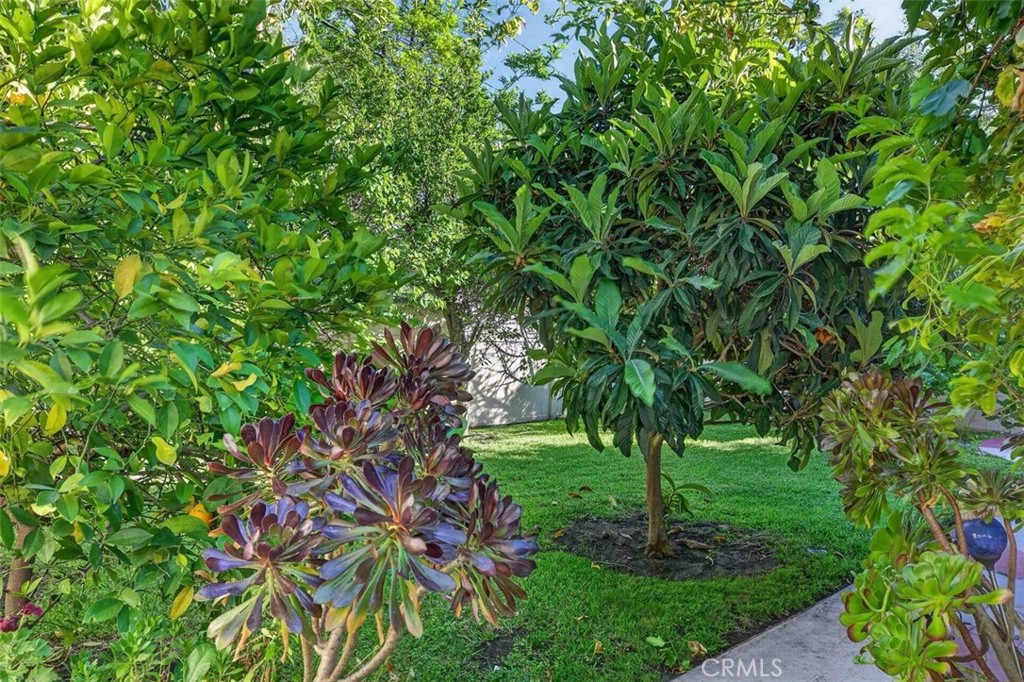 https://media.crmls.org/medias/f91d8cc7-6ab7-47eb-9531-9afd14008ddf.jpg?preset=X-Large