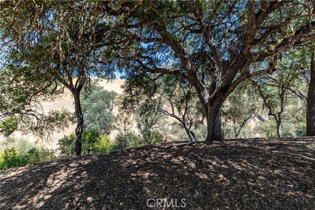 4250 Skylink Lane, Paso Robles CA: https://media.crmls.org/medias/f91fd437-225e-4a22-b896-d3c7b6e84f46.jpg