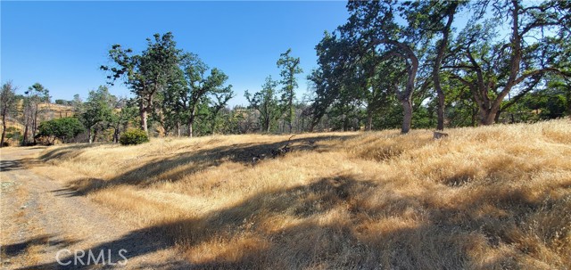 Detail Gallery Image 2 of 11 For 15687 Stagecoach, Corning,  CA 96021 - – Beds | – Baths