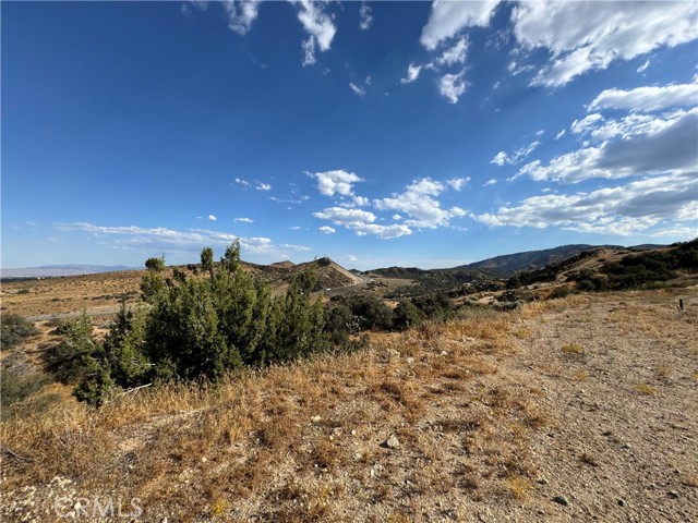 Detail Gallery Image 4 of 16 For 8320 Zohra Canyon Rd, Pinon Hills,  CA 92372 - – Beds | – Baths