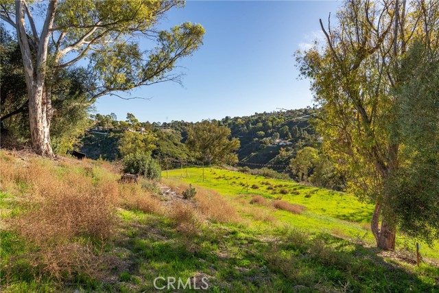 80 Saddleback, Rolling Hills CA: https://media.crmls.org/medias/f923f038-6bd0-4a41-a1c3-7222ef135052.jpg