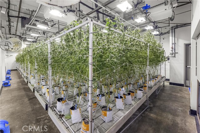 Image 36 of 54 For 44211 Yucca