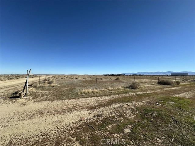 Front Image Thumbnail for CRSR25274655